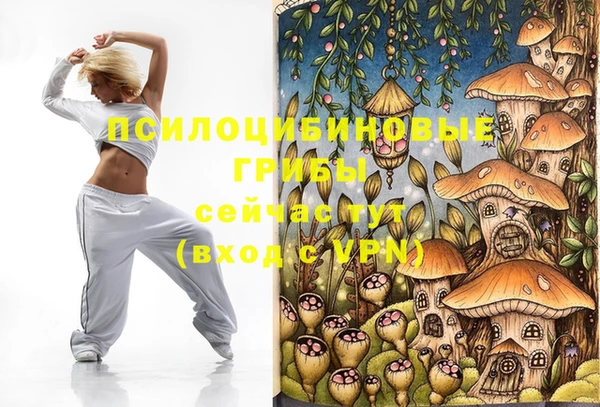меф Горно-Алтайск